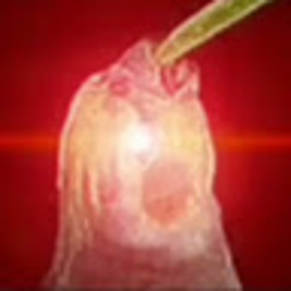 malleable_milk